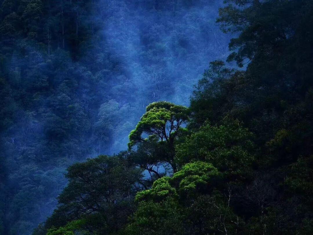 幻想纹章3.3
